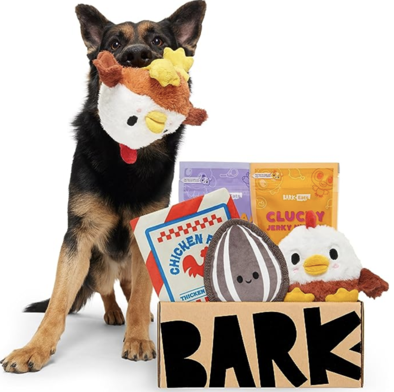 bark box subscription big