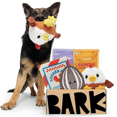 bark box subscription