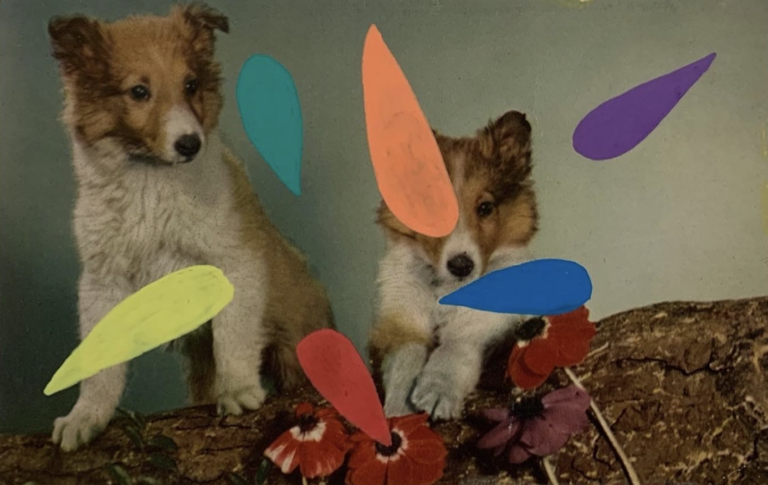 dog on postcard art