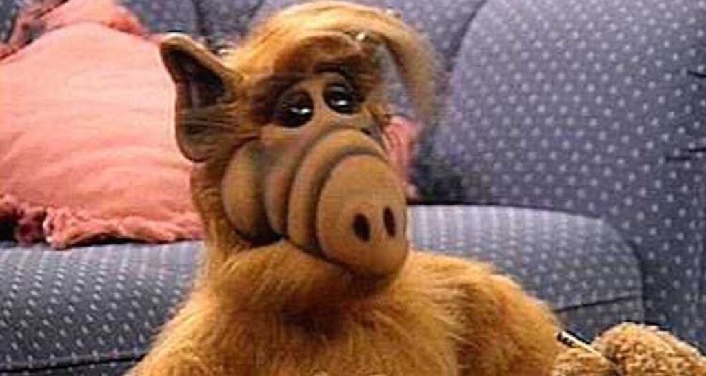 alf guy