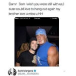 the hulk hogan and bam tweets