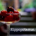 taskmaster series 10 hippopotamus