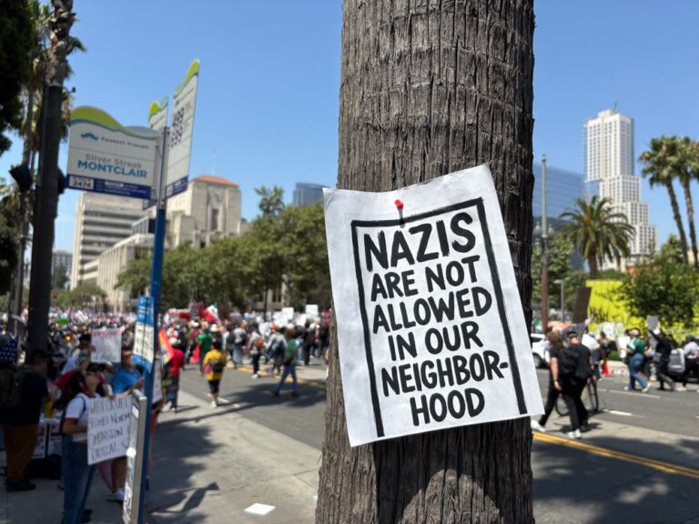 nazis are not allowed in our neighborhood sign at la protest shared on bluesky